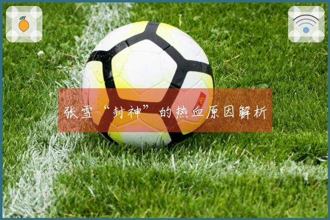张雪“封神”的热血原因解析