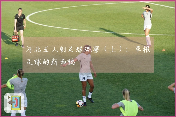 河北五人制足球观察（上）：草根足球的新面貌